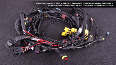 GM Terminated Harness